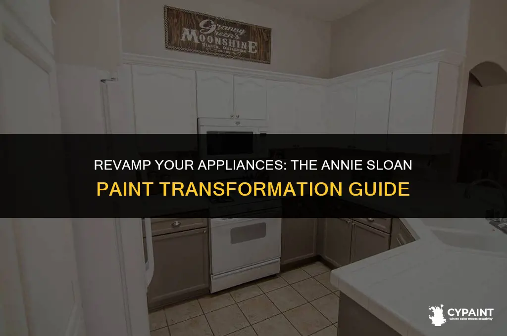 can you paint appliances with annie sloan paint