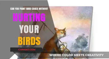 Safe Bird Cage Makeover: Painting Without Harming Your Pet