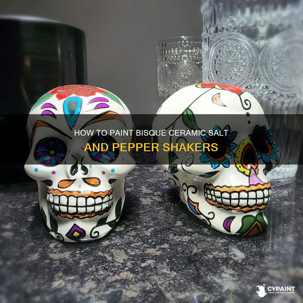 can you paint bisque ceramic salt and pepper shakers