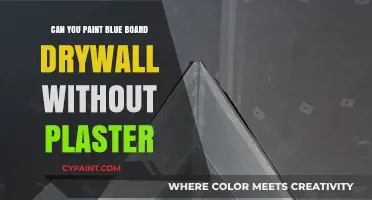 Painting Blue Board Drywall: A Guide to Skipping Plaster