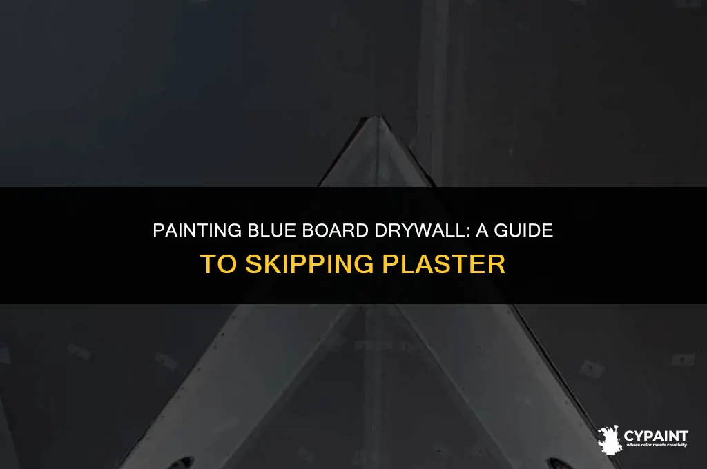 can you paint blue board drywall without plaster