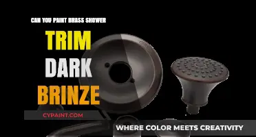Revamping Your Bathroom: Painting Brass Shower Trim Dark Bronze