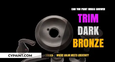 Revamping Your Bathroom: Painting Brass Shower Trim Dark Bronze