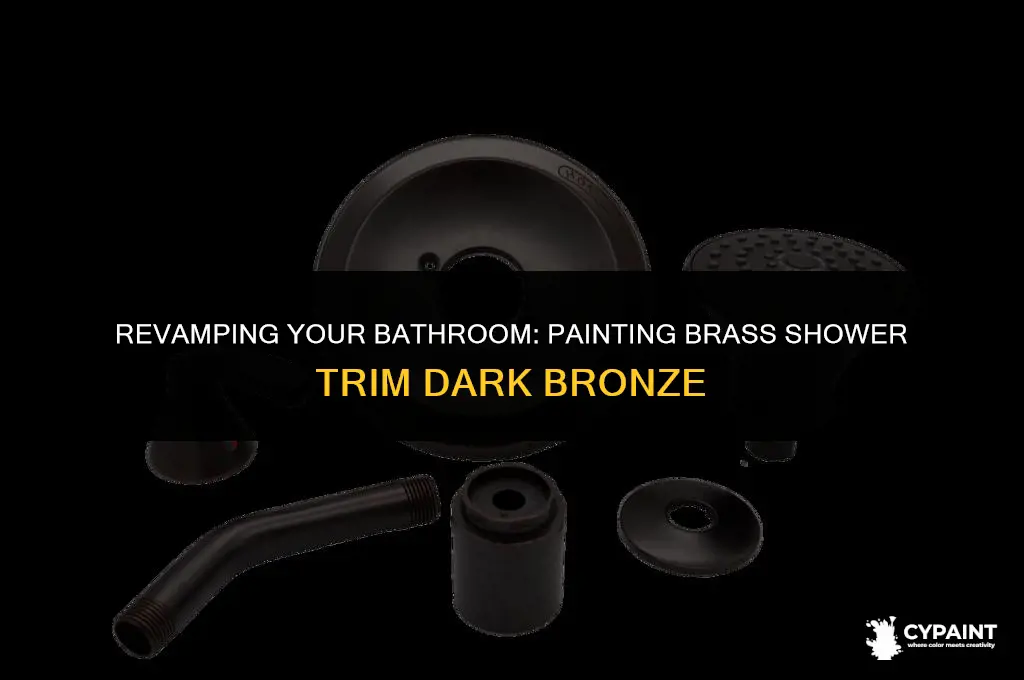 can you paint brass shower trim dark bronze