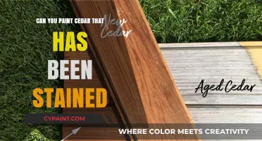 Reviving Stained Cedar: A Painter's Guide to Restoration