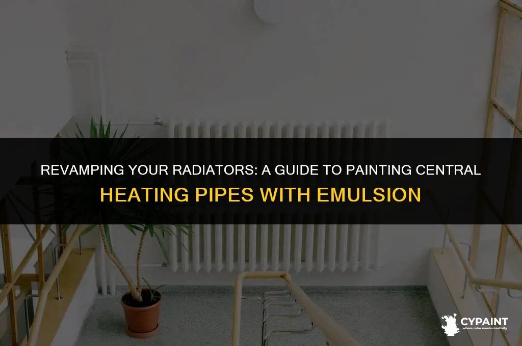 can you paint central heating pipes with emulsion