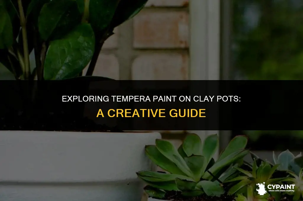 can you paint clay pots with tempera paint