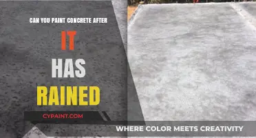 Reviving Your Concrete: Post-Rain Painting Tips and Tricks