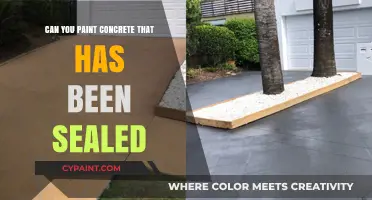 Reviving Sealed Concrete: A Painter's Guide to Success