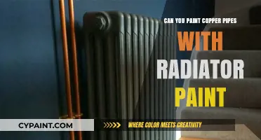 Revamping Copper Pipes: A Guide to Using Radiator Paint Safely