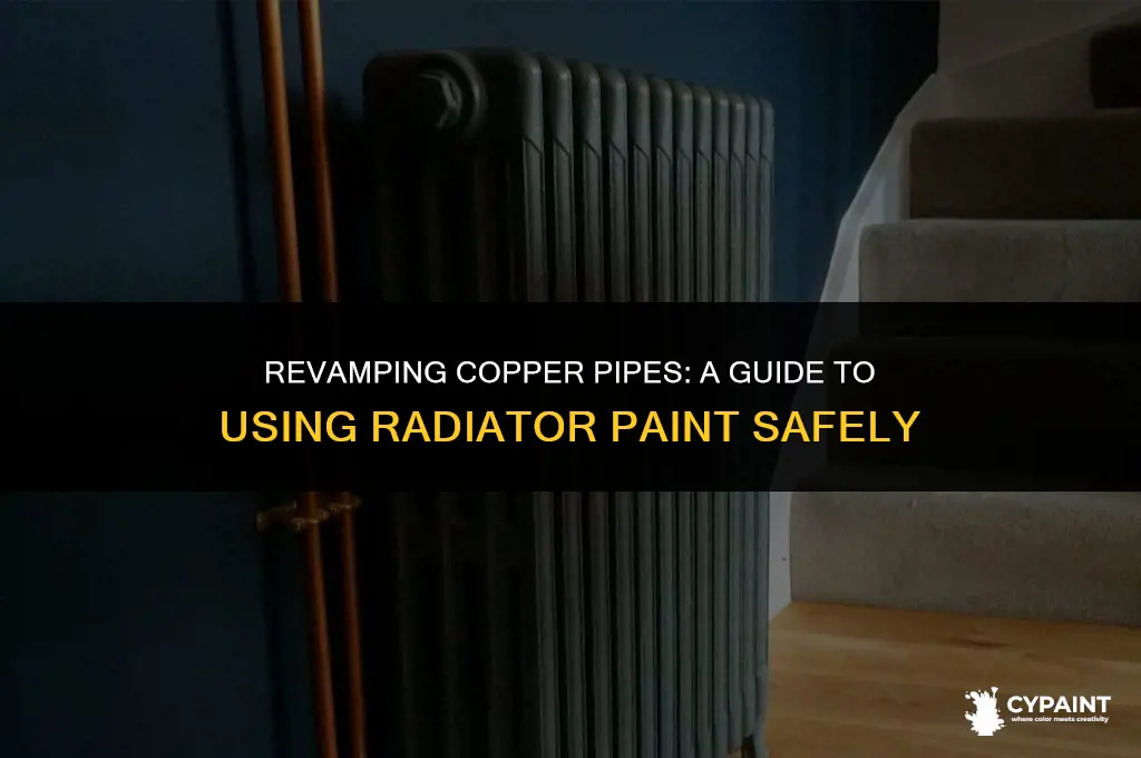 can you paint copper pipes with radiator paint