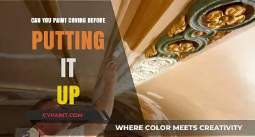 Pre-Painting Coving: A Smart Move or a Risky Gamble?