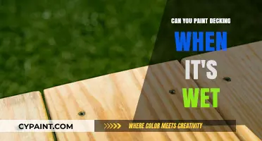 Revamping Your Deck: Tips for Painting Wet Decking Successfully