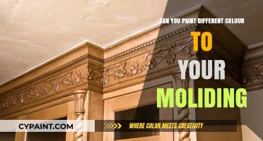 Revamp Your Space: Exploring Creative Ways to Paint Your Molding