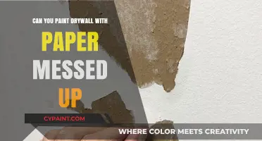 Reviving Drywall: A Guide to Painting Over Paper Mishaps