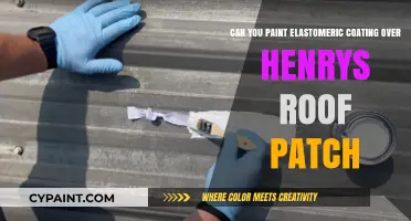 How to Paint Elastomeric Coating Over Henry's Roof Patch