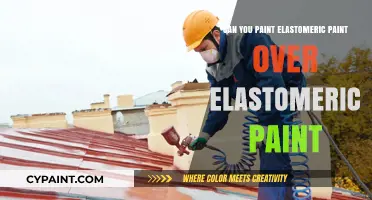 Revamping Your Walls: The Do's and Don'ts of Layering Elastomeric Paint
