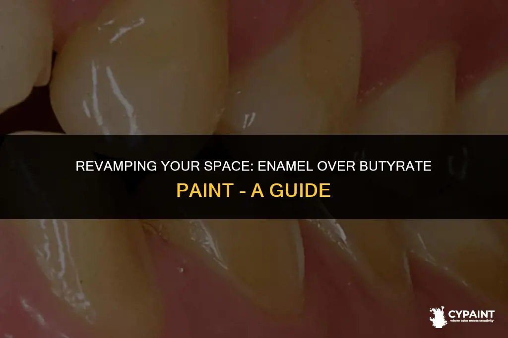 can you paint enamel paint over butyrate paint