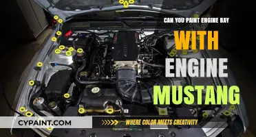 Revamp Your Ride: Painting the Engine Bay of a Mustang