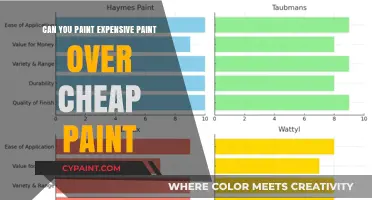 Elevating Your Walls: The Do's and Don'ts of Mixing Paint Qualities