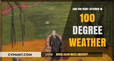 Painting in the Heat: Tips for Exterior Projects in 100°F Weather