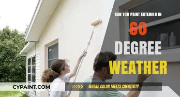 Painting Your Home's Exterior in 60 Degrees: Tips and Tricks