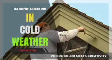 Painting Exterior Trim in Cold Weather: Tips and Tricks