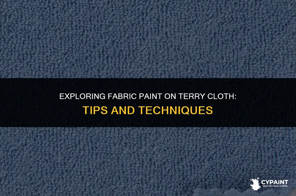 can you paint fabrice paint on terry clorh
