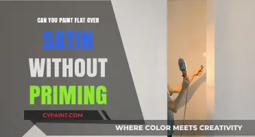 Painting Over Satin: Can You Skip the Primer?