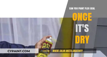 How to Paint Flex Seal: Post-Application Tips