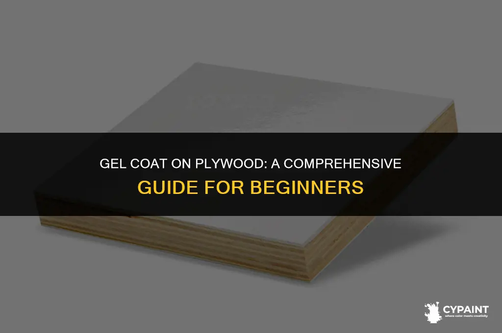 can you paint gel coat on bare plywood