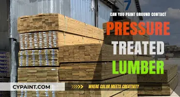 Revamping Your Deck: Painting Pressure-Treated Lumber for Ground Contact