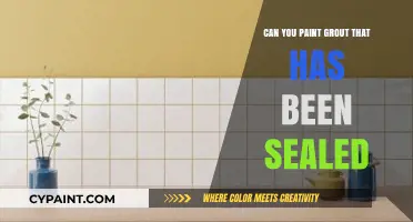 Reviving Sealed Grout: A Painter's Guide to Transforming Your Tile