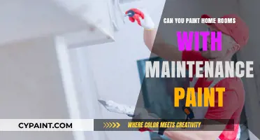 Revamp Your Space: The Benefits of Maintenance Paint for Home Rooms