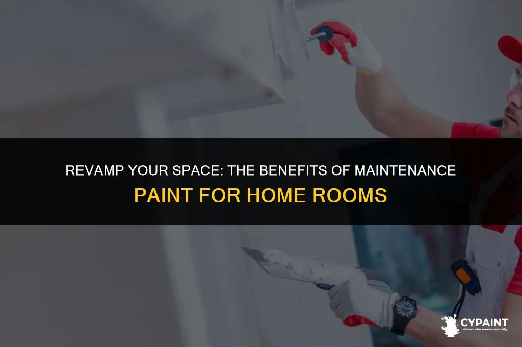 can you paint home rooms with maintenance paint