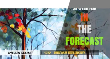 Weathering the Storm: Can You Paint with Rain in the Forecast?