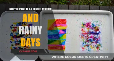 Painting in Extreme Weather: Tips for Rainy 40-Degree Days