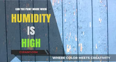 Painting in High Humidity: Tips and Tricks for a Flawless Finish