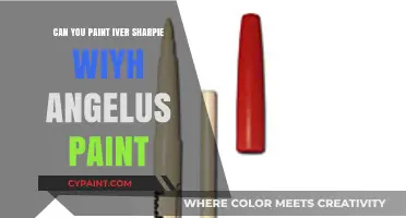 Reviving Sharpie Art: A Guide to Painting Over with Angelus Paints