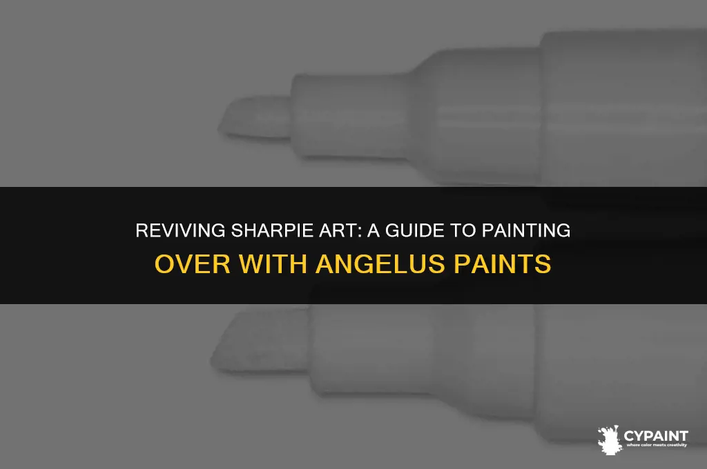 can you paint iver sharpie wiyh angelus paint