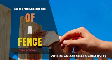 Painting One Side of a Fence: Is It Possible?