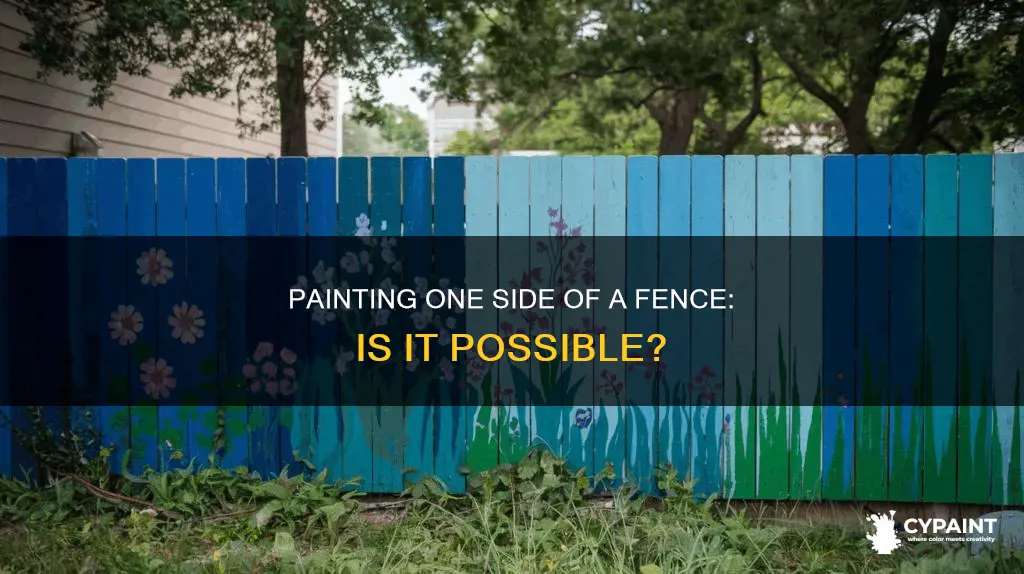 can you paint just one side of a fence