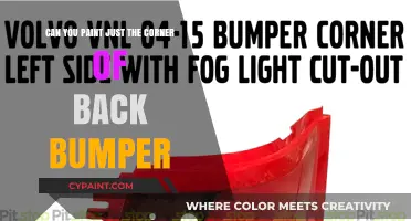 Customizing Your Car: Painting the Corner of Your Bumper