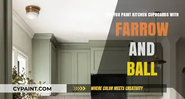 Transform Kitchen Cupboards with Farrow and Ball Paint
