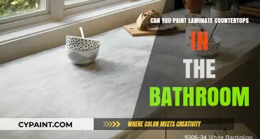 Revamping Your Bathroom: A Guide to Painting Laminate Countertops