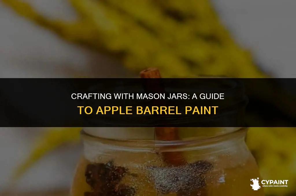 can you paint mason jars with apple barrel