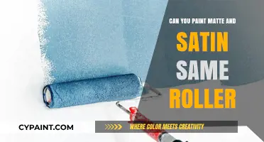 Painting Techniques: Can You Use the Same Roller for Matte and Satin Finishes?