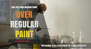 Revamping Your Walls: Can Mildew Paint Be Applied Over Regular Paint?