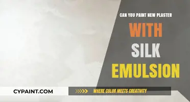 Painting New Plaster with Silk Emulsion: A Comprehensive Guide