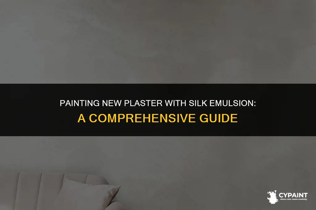 can you paint new plaster with silk emulsion